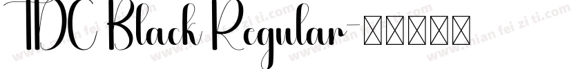 TDC Black Regular字体转换